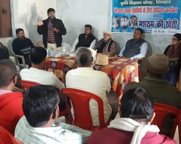 WhatsApp Image 2023-06-19 at 15.21.58